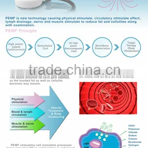 New PEMF Weight Loss Shock Wave Therapy Medical Beauty Equipment thumbnail-3