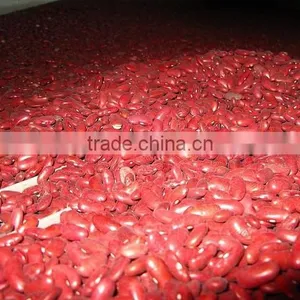 Kidney Beans thumbnail-1