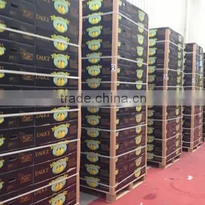 Pomelo From China thumbnail-5