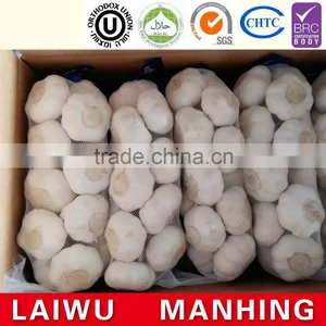 Red Fresh Garlic Supplier thumbnail-4