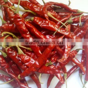 Dry Red Chili thumbnail-5