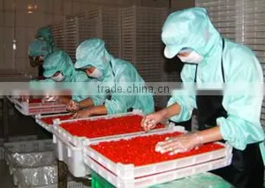 Ningxia Love Goji Supply Chain Corporation company overview - view 3 thumbnail