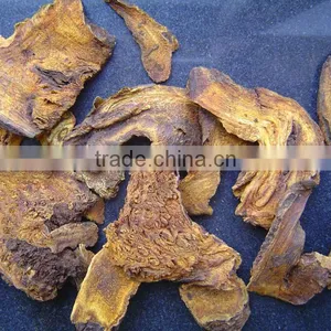 Chinese Rhubarb Root Slices thumbnail-1