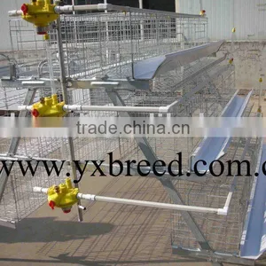 Poultry Layer Cage for Chicken thumbnail-1