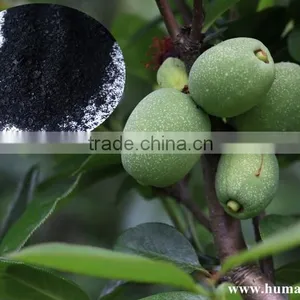 Kinds of Agriculture Fertilizer Potassium Humate 70% thumbnail-2