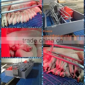 Farrowing Stall for Pig thumbnail-4