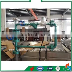Fruit&vegetable Chain Type Blanching Machine thumbnail-4