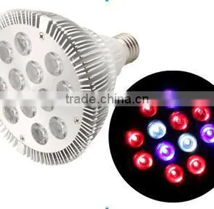 Warm White Indoor Plant Light ,par Light,led Lighting thumbnail-1