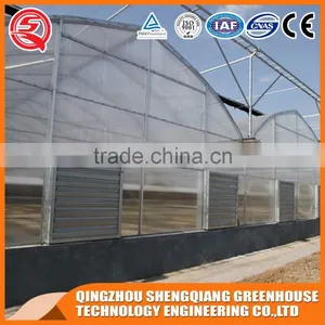 China Plastic Tomato Greenhouse Roll up Motor for Ventilation for Sale thumbnail-3