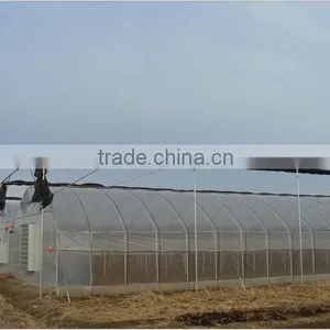 The Cheapest and Easily Installed Agricultural/ Commercial Green House thumbnail-1