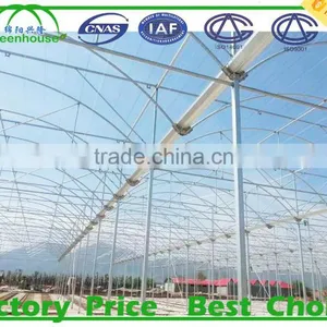Agriculture Farming/ Greenhouse thumbnail-2