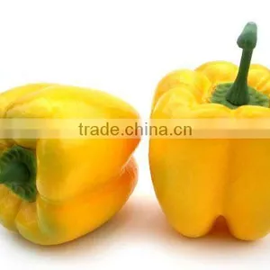 Real Size and Weight Pepper/decoration Plastic Vegetables thumbnail-1