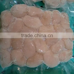 Frozen Vacuum Fan Shell Atrina Pectinata for Sale in Season thumbnail-1