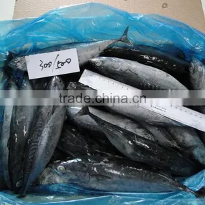 Bonito Fish With Prices thumbnail-2