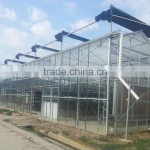 Nutrient Film Hydroponics System Greenhouse thumbnail-2