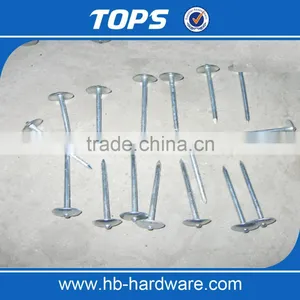 Umbrella Roofing Nails/coil Roofing Nails thumbnail-3