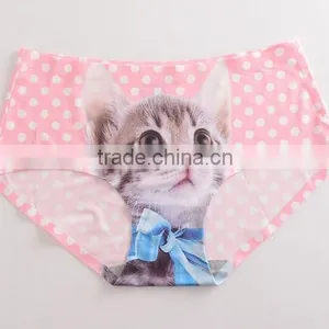 2017 Manufacturer Customized Your Own Brand Design Funny Cute 3D Print 95%Modal 5%Spandex Private Label Women Underwear thumbnail-6