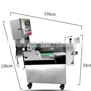 Electric Carrot Cutter Most Advanced Stainless Steel Multifunctional Root/Leaf Vegetable Cutting Machine thumbnail-2