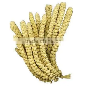 Organic Yellow Millet Spray thumbnail-1