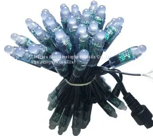Indoor Decoration, Outdoor Lighting, Advertising Lamp String 12vws2811 Full Color Exposure Lamp, American Full Color Exposure Lamp thumbnail-2