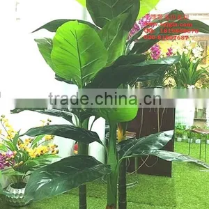 2014 the Hot Sale Plant Tree Type Large Leaf Evergreen Leafartificial Plants Artificial Banana Plants thumbnail-1