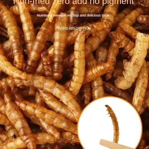 Dried Mealworms for Chickens and Birds thumbnail-5