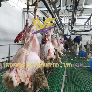 Sheep Slaughtering Equipment Goat Slaughter Production Line thumbnail-4