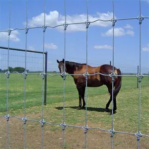 Multi-size High Pasture Fence for Goat Farming Grassland Cheap Field Fence thumbnail-6