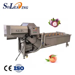 Commercial Washing Machine Fruit Vegetable Washer Bubble Cleaning Equipment thumbnail-5