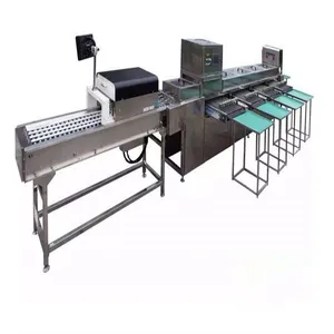 Top Quality Egg Yolk Powder Production Line thumbnail-1