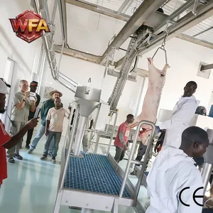 Industrial Pig Slaughterhouse Equipment Automatic Hog Slaughtering Line Pork Processing Machinery Manufacturer thumbnail-1
