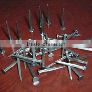 Blued Shoe Tack Nails thumbnail-3