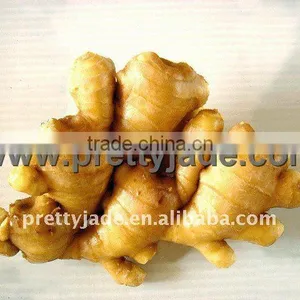 Chinese Wholesale Ginger thumbnail-1