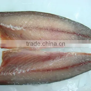Horse Mackerel thumbnail-1