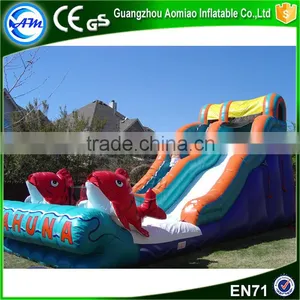 2016 New Item High Quality Large Plastic Water Slide for Sale Supplier's Choice thumbnail-1