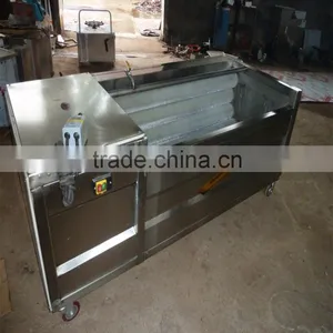 Potato Washing and Peeling Machine thumbnail-6