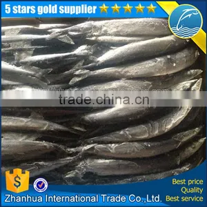 Seafrozen Pacific Saury Fish Carton Packing thumbnail-1