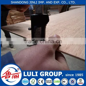 Hot Sale Door Skin Plywood thumbnail-1