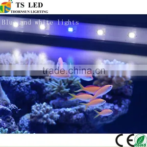 New Design Smd 3528 Led Aquarium Diving Lights thumbnail-3
