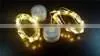Hot CR2032 Button Battery Operated Copper Wire LED String Lights thumbnail-2