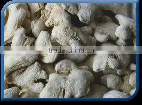 Raw Herbs thumbnail-1