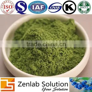 Moringa Oleifera Leaf Extract Powder thumbnail-3