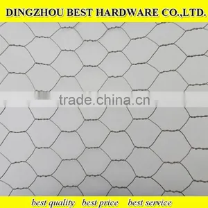 Galvanized Chicken Wire Netting thumbnail-2
