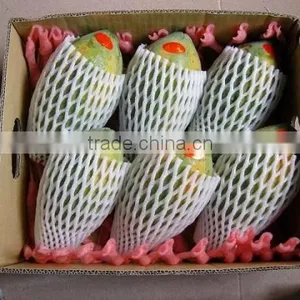 Colorful Fruit Foam Net EPE Foam Protective Sleeve Net thumbnail-3