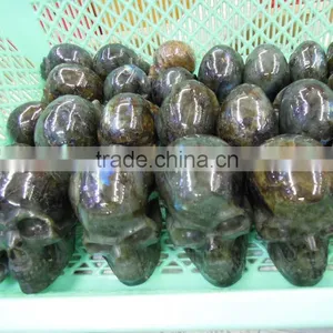 Charming FengShui Products Human Skull Model (medical Anatomical Model) thumbnail-4