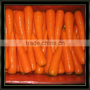 Buy Fresh Carrot thumbnail-1