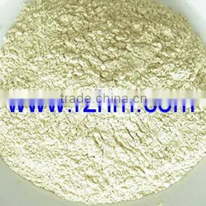 Dehydrated White Onion Powder thumbnail-1