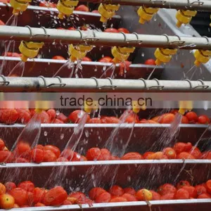 Bulk Tomato Paste in Drum Chinese Crop thumbnail-4