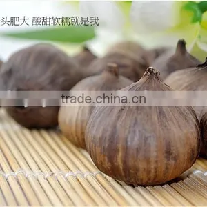 Japanese Top Quality Black Garlic thumbnail-3