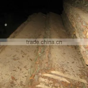 Unedged Timber thumbnail-1